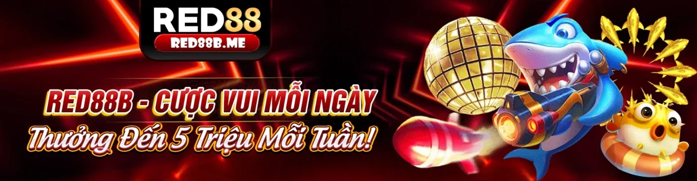 Giao dịch nhanh chóng và trải nghiệm mượt mà 55my
