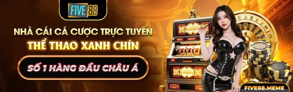 Giao diện cá cược trực tiếp bóng đá 55my