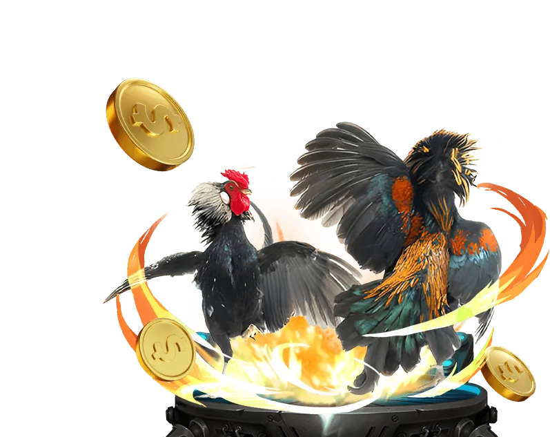 Hỗ trợ chuyên nghiệp